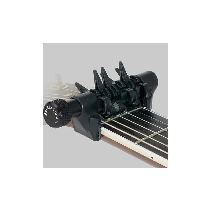  D'Andrea Spider Capo Standard - zdjecie 2