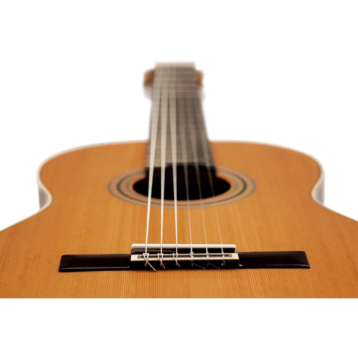 Ortega Ortega R20GWN Traditional Series gitara klasyczna 4/4 - zdjecie 6