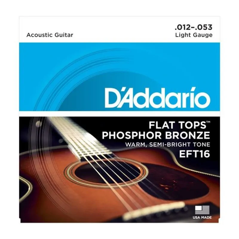 D'ADDARIO D'Addario EFT16 - Flat Tops 12-53
