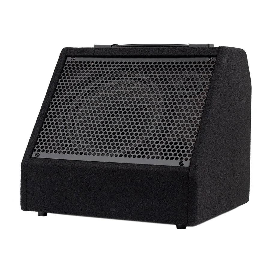 HAYMAN Hayman DDM-30 monitor/głośnik do perkusji
