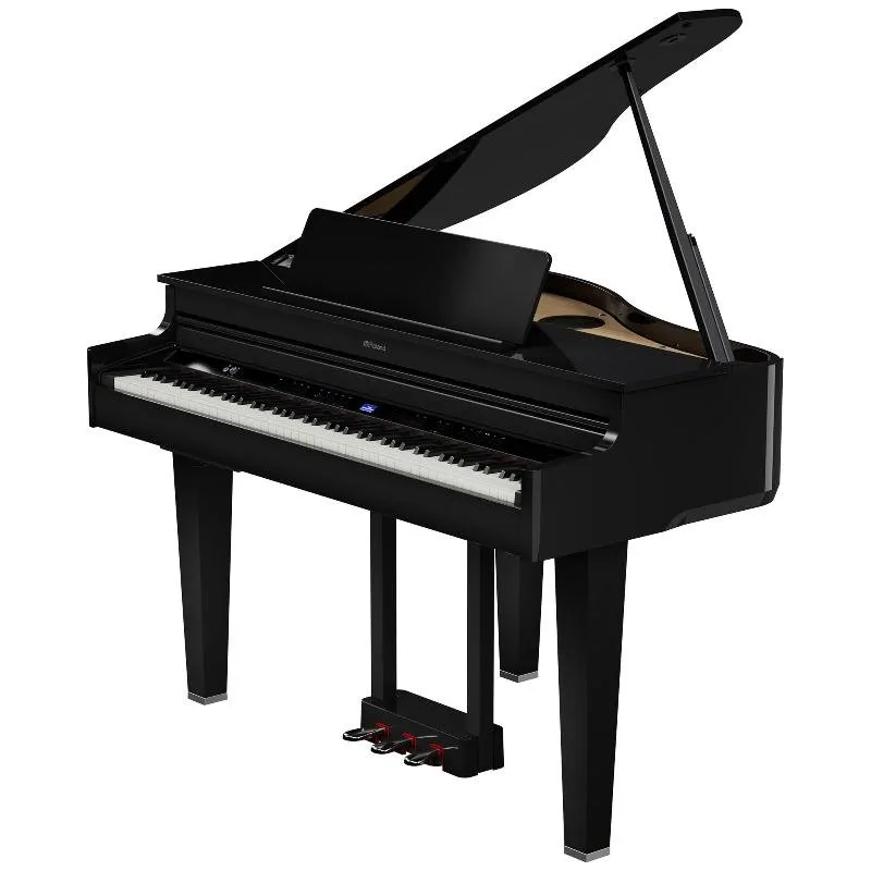 ROLAND Roland GP-6 PE