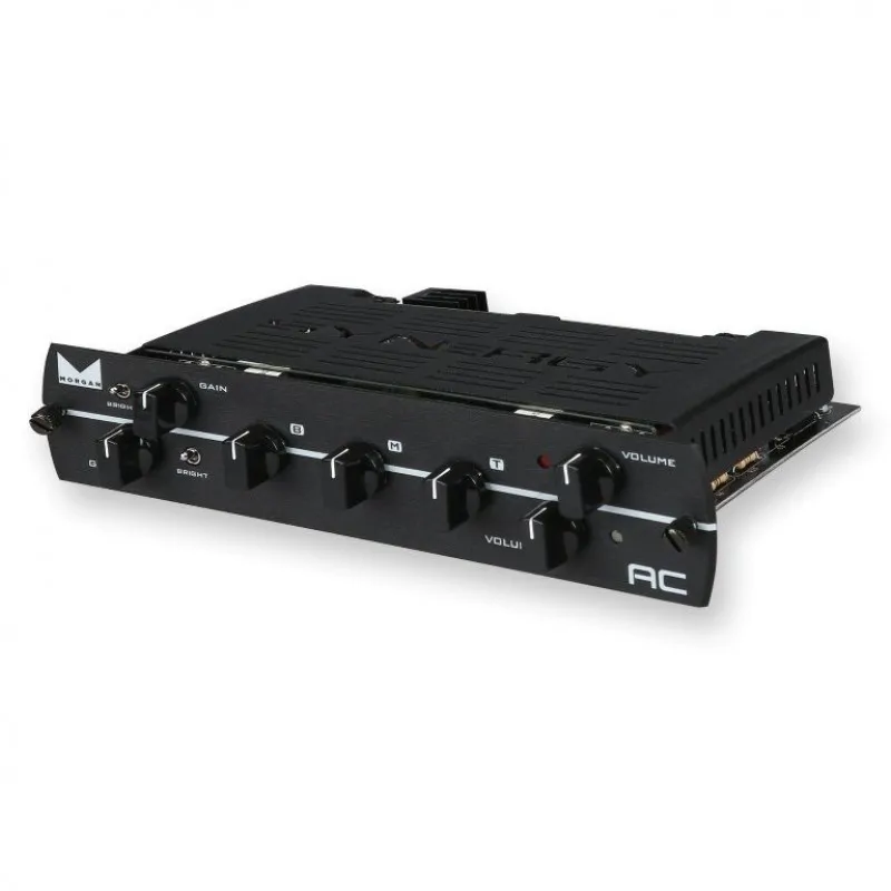 Synergy Amps Synergy Morgan AC 2-CH pre-amp moduł przedwzmacniacza - zdjecie 2