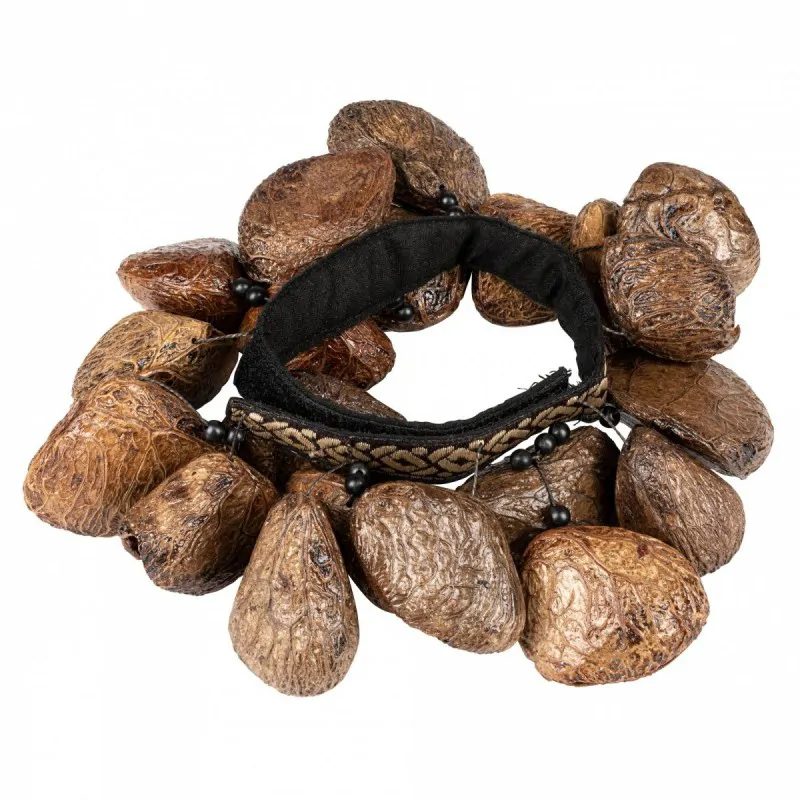 Meinl Sonic Energy Meinl Ankle Pangi Seeds FR1P shaker na noge
