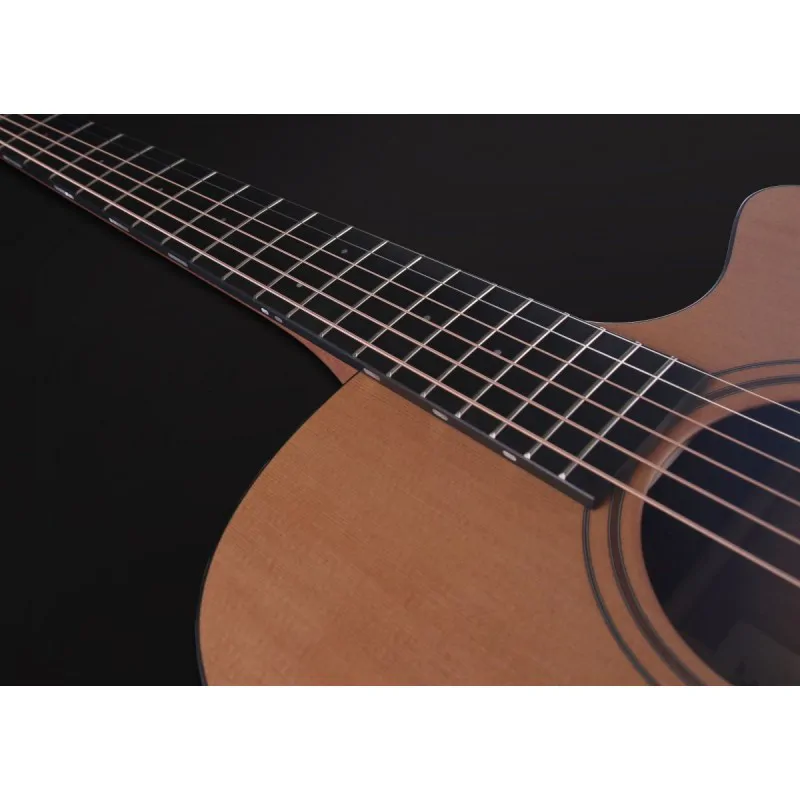 FURCH Furch Blue Deluxe Gc-CM LR Baggs SPE - zdjecie 10
