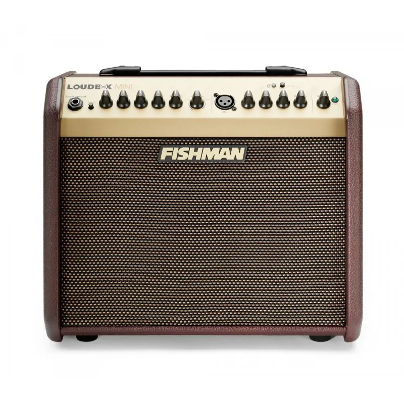 FISHMAN Fishman Loudbox Mini Bluetooth combo akustyczne