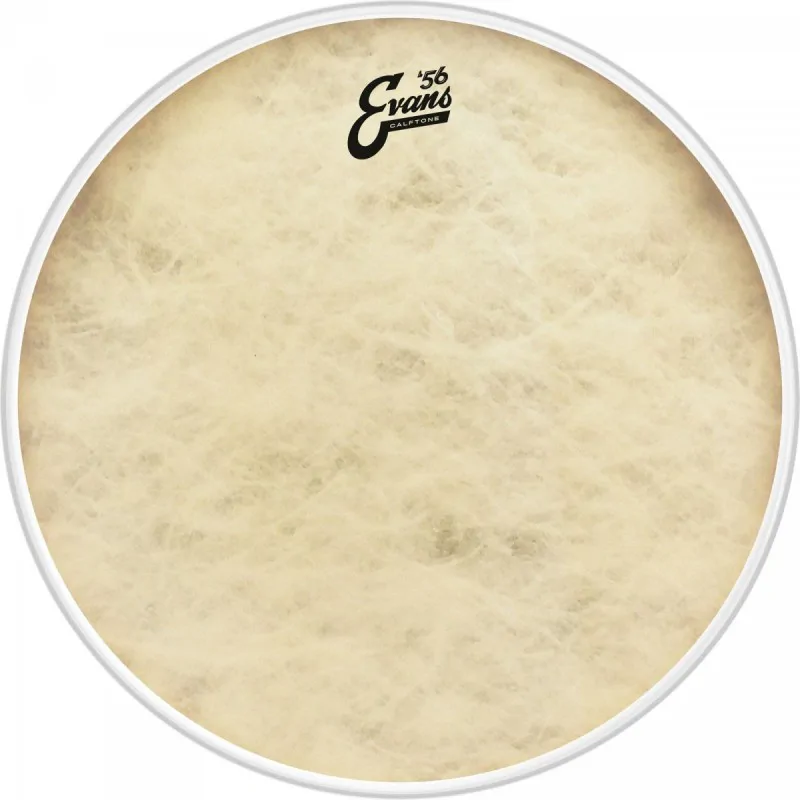 EVANS Evans BD18CT Calftone naciąg