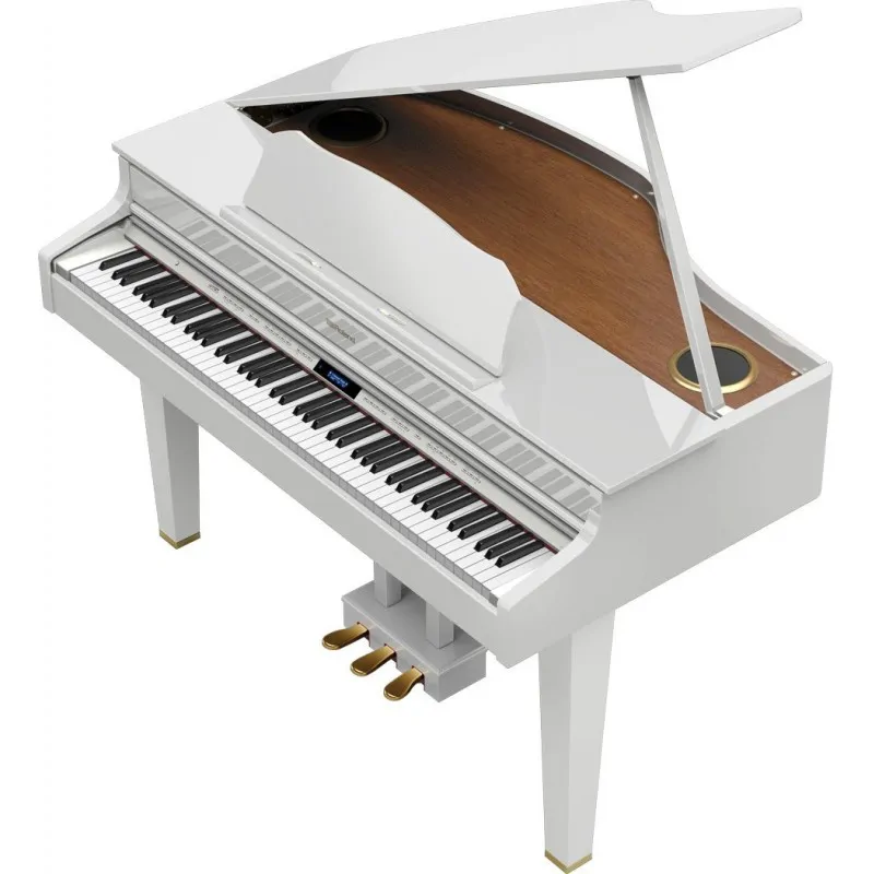 ROLAND Roland GP607-PW