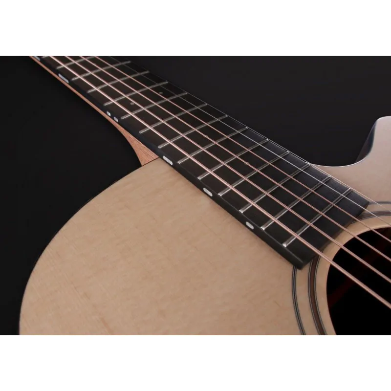 FURCH Furch Blue Deluxe Gc-SW LR Baggs SPE - zdjecie 10