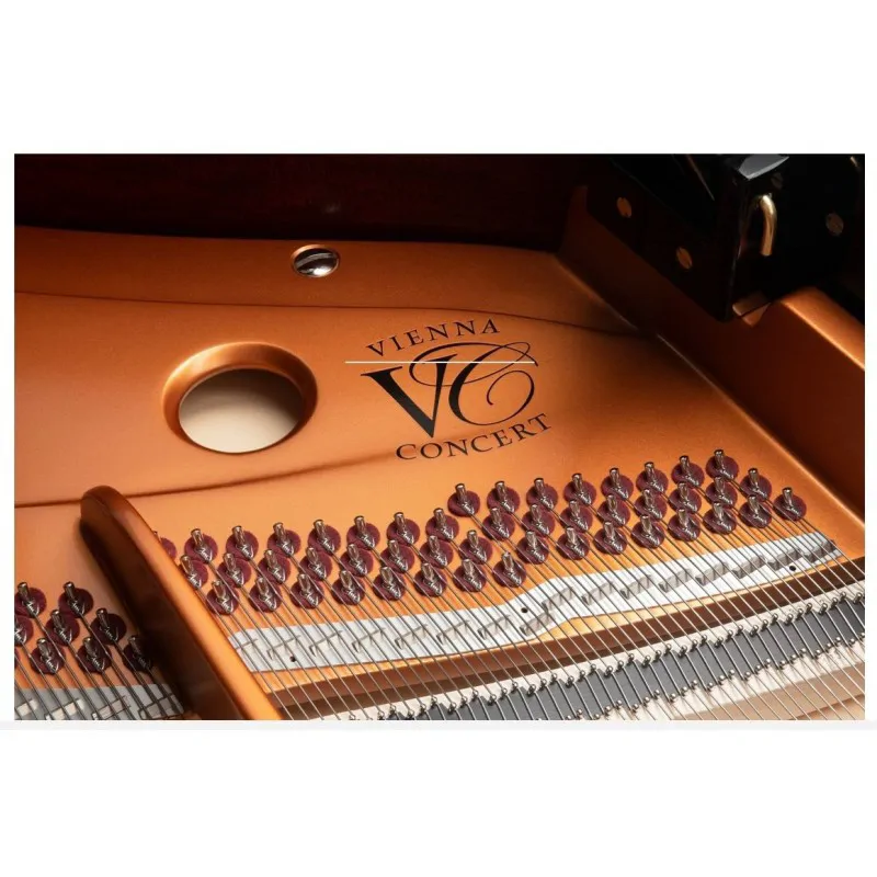 Bosendorfer Bösendorfer 230VC - zdjecie 5
