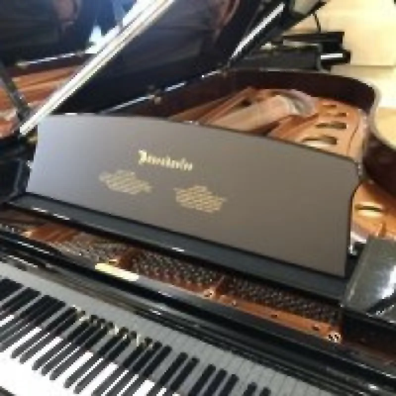Bosendorfer Bösendorfer 230VC - zdjecie 11