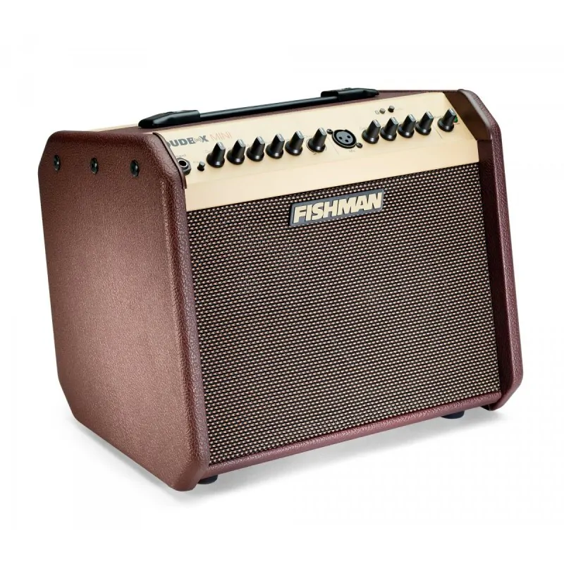 FISHMAN Fishman Loudbox Mini Bluetooth combo akustyczne - zdjecie 5