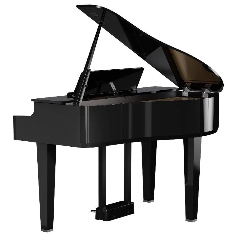 ROLAND Roland GP-6 PE - zdjecie 5