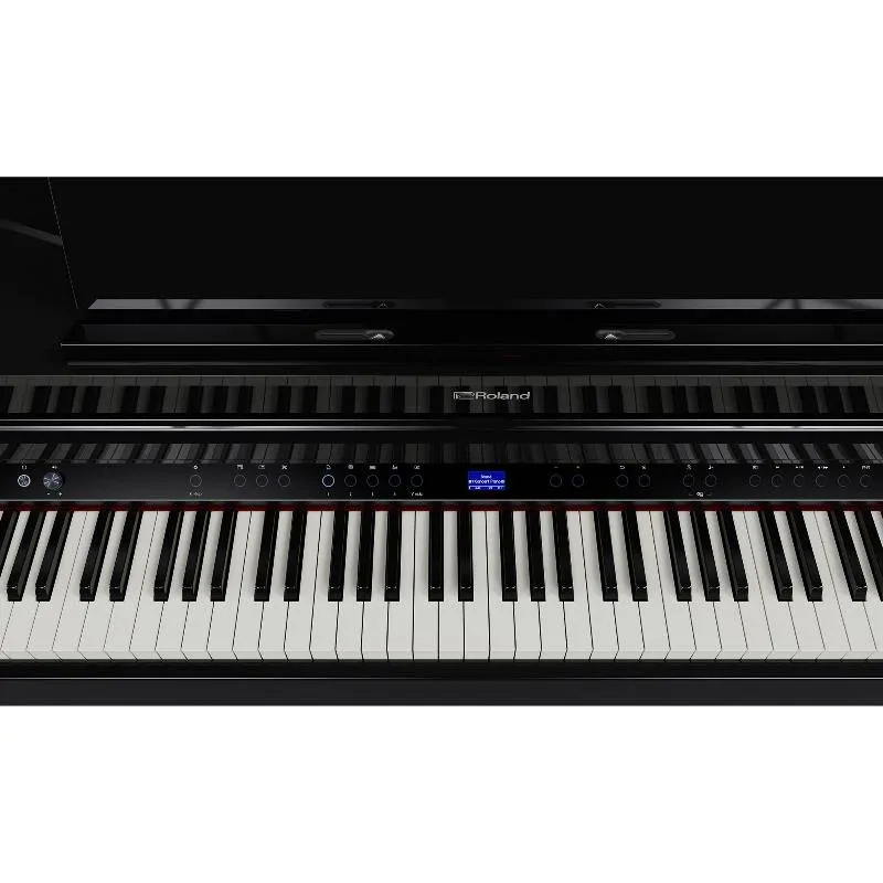 ROLAND Roland GP-6 PE - zdjecie 9