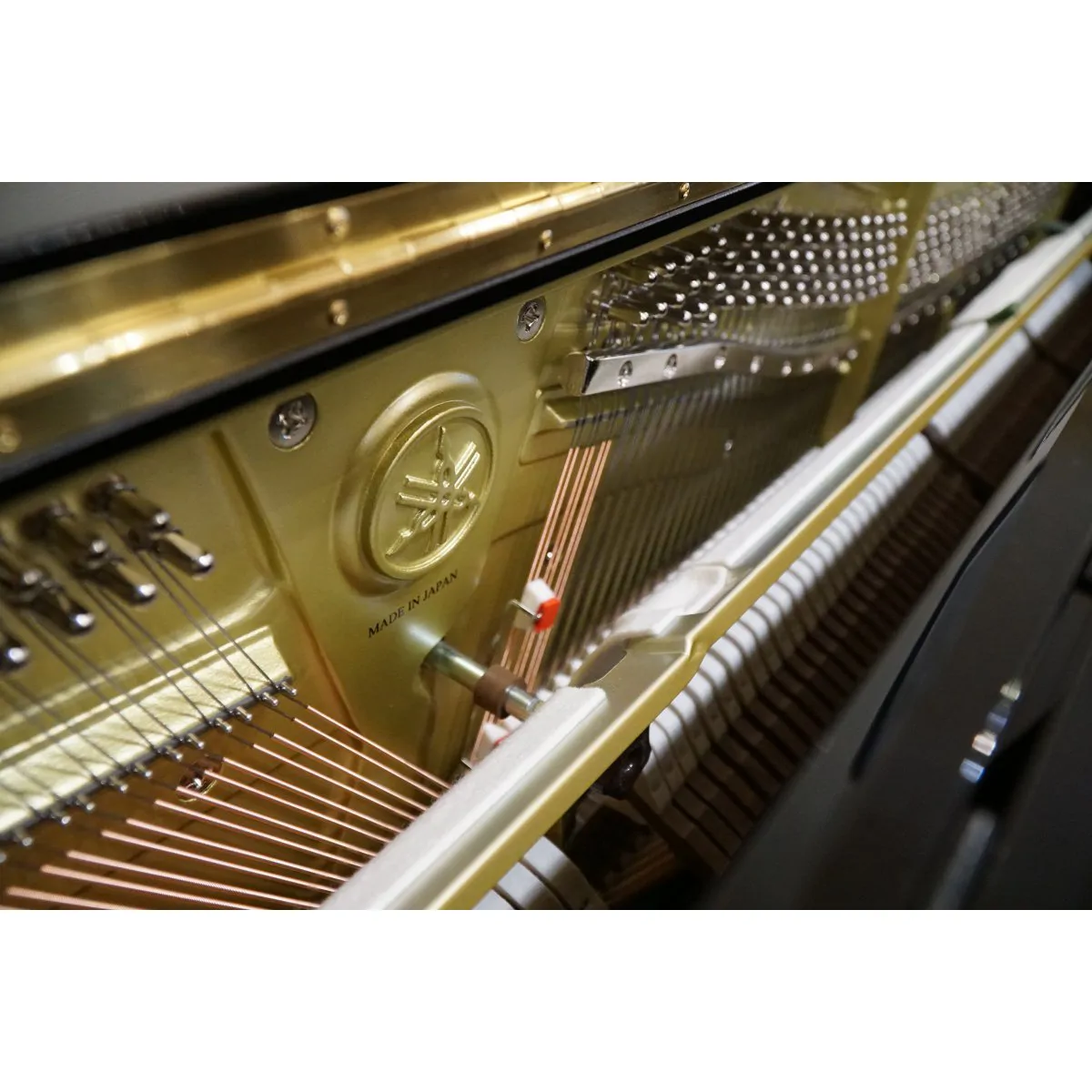 YAMAHA Yamaha YUS5 PE - zdjecie 7