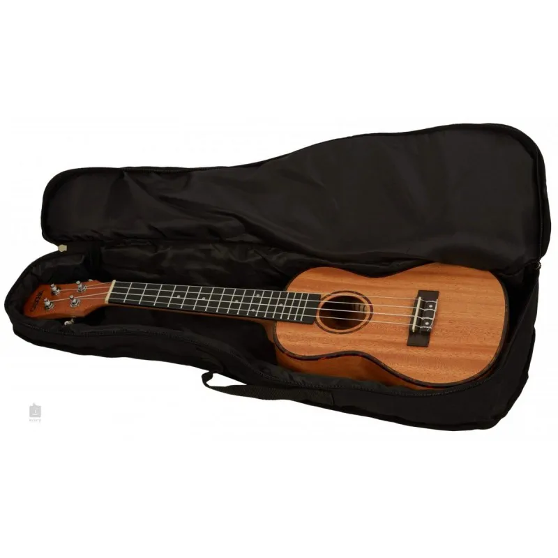 Cascha Cascha 2035 Premium Concert