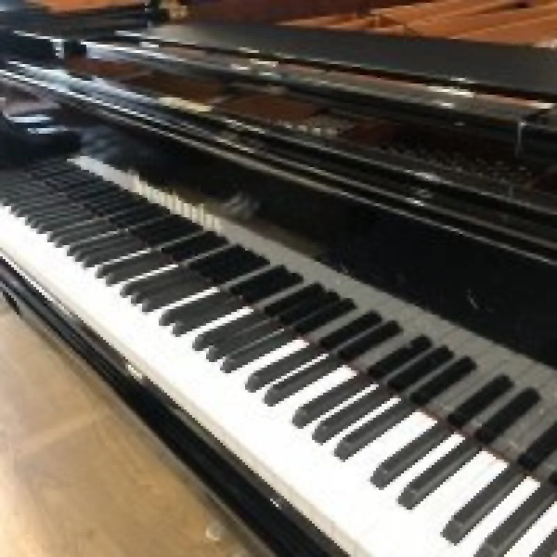 Bosendorfer Bösendorfer 230VC - zdjecie 9