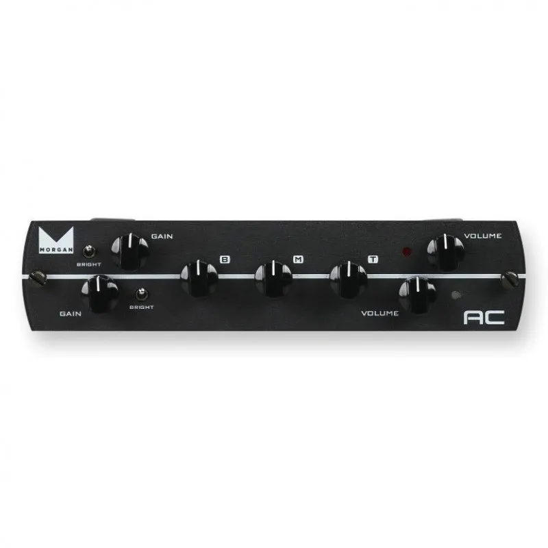 Synergy Amps Synergy Morgan AC 2-CH pre-amp moduł przedwzmacniacza