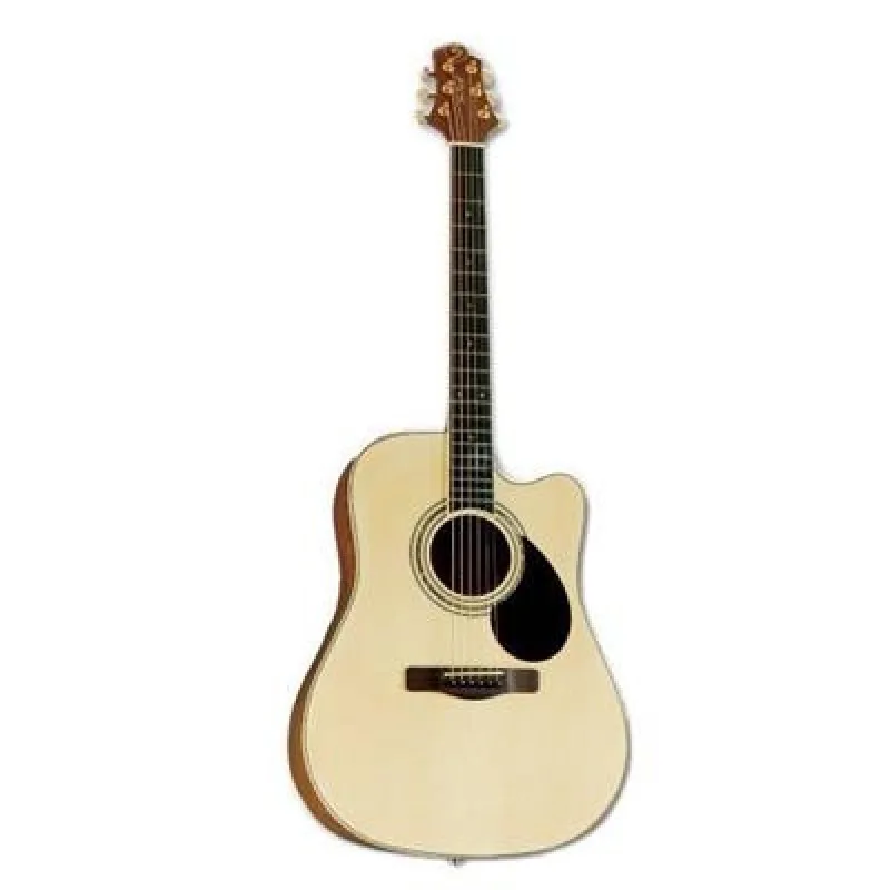 Samick Guitars Samick GD-100SC NS - gitara akustyczna