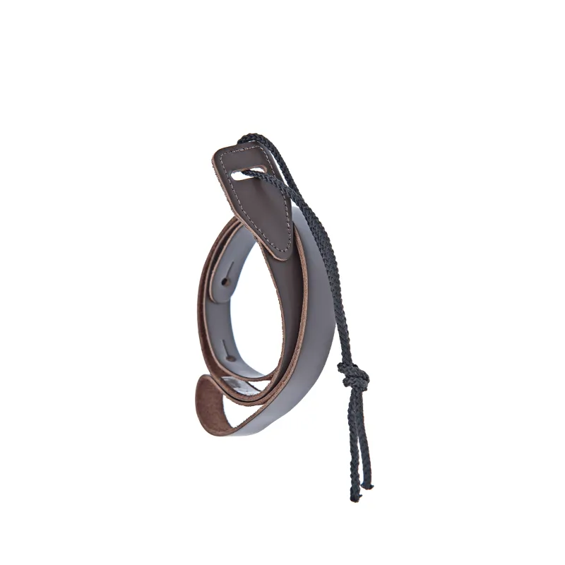 D'ADDARIO D'Addario 75M01 Mandolin Brown