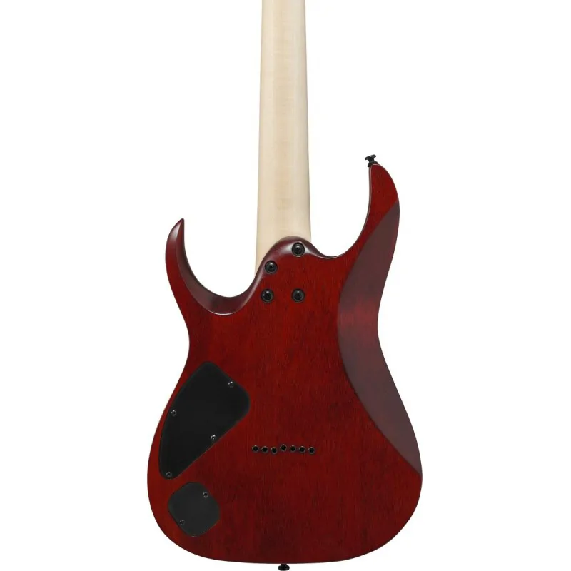 IBANEZ Ibanez RGA742FM-TGF Transparent Gray Flat - zdjecie 5