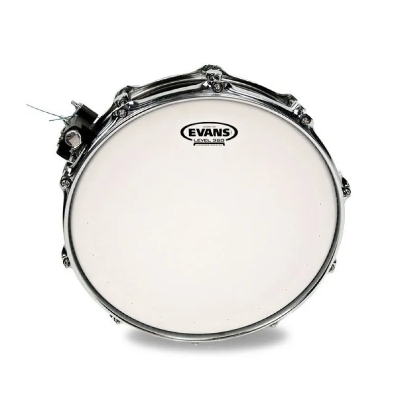 EVANS Evans B14DRY naciąg do werbla uderzany14" - zdjecie 2