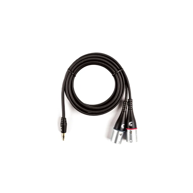 D'ADDARIO D'Addario PW-MPXLR-06 3,5mm Jack ST - 2xXLRM 1,8m