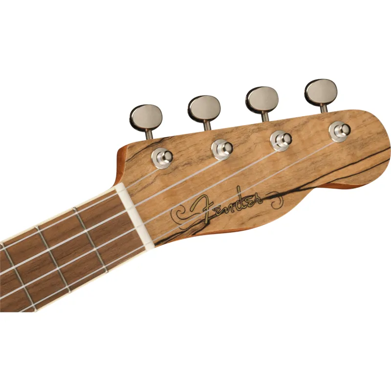 FENDER Fender Zuma Exotic Concert Ukulele Walnut Fingerboard Spalted Maple - zdjecie 5