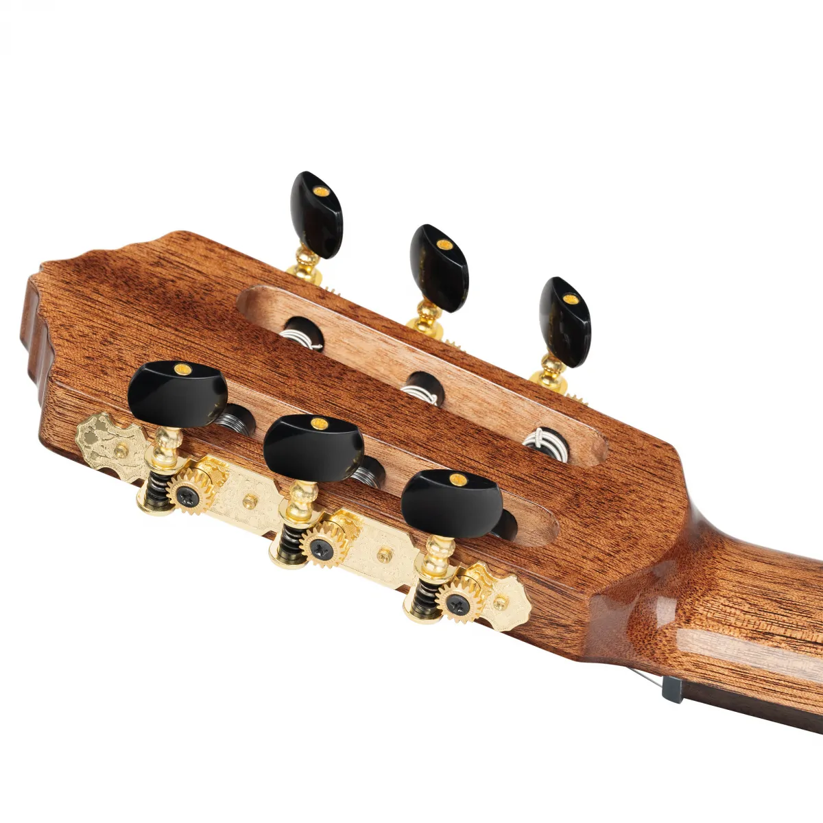 Ortega Ortega EXOTICSUITECE Gitara Elektro-klasyczna Thinline - zdjecie 14