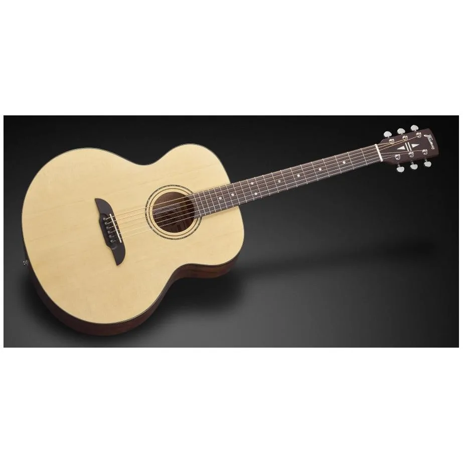 Framus Framus FJ 14 SV VSNT Jumbo