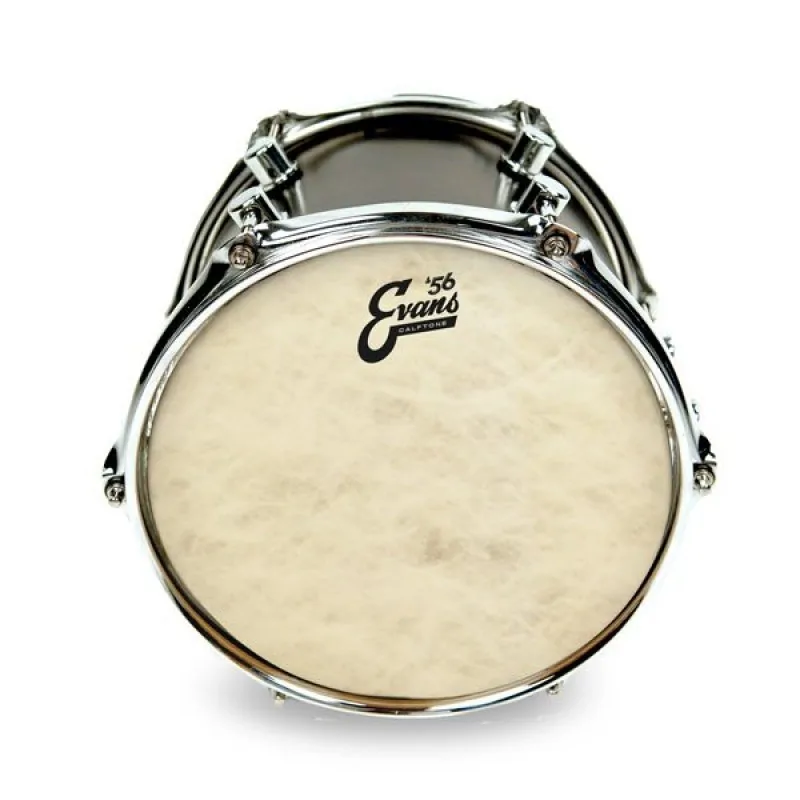 EVANS Evans TT16C7 Calftone 16" naciąg uderzany - zdjecie 2