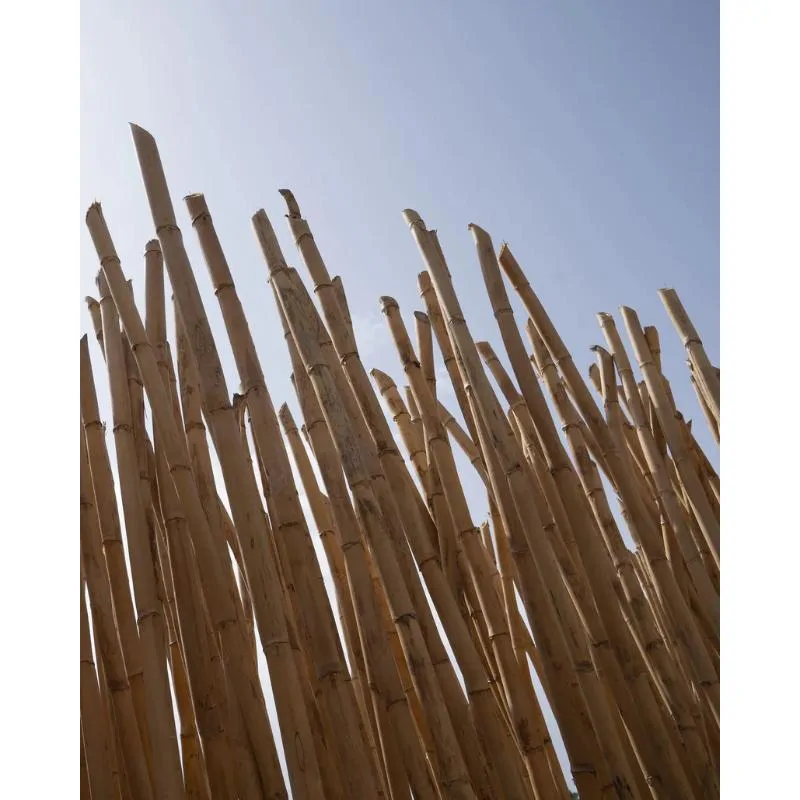 SELMER Selmer 3 stroik do saksofonu altowego - zdjecie 3