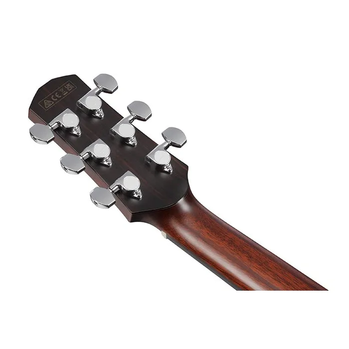 IBANEZ Ibanez AAM700CE-NT Platinum Collection - zdjecie 5
