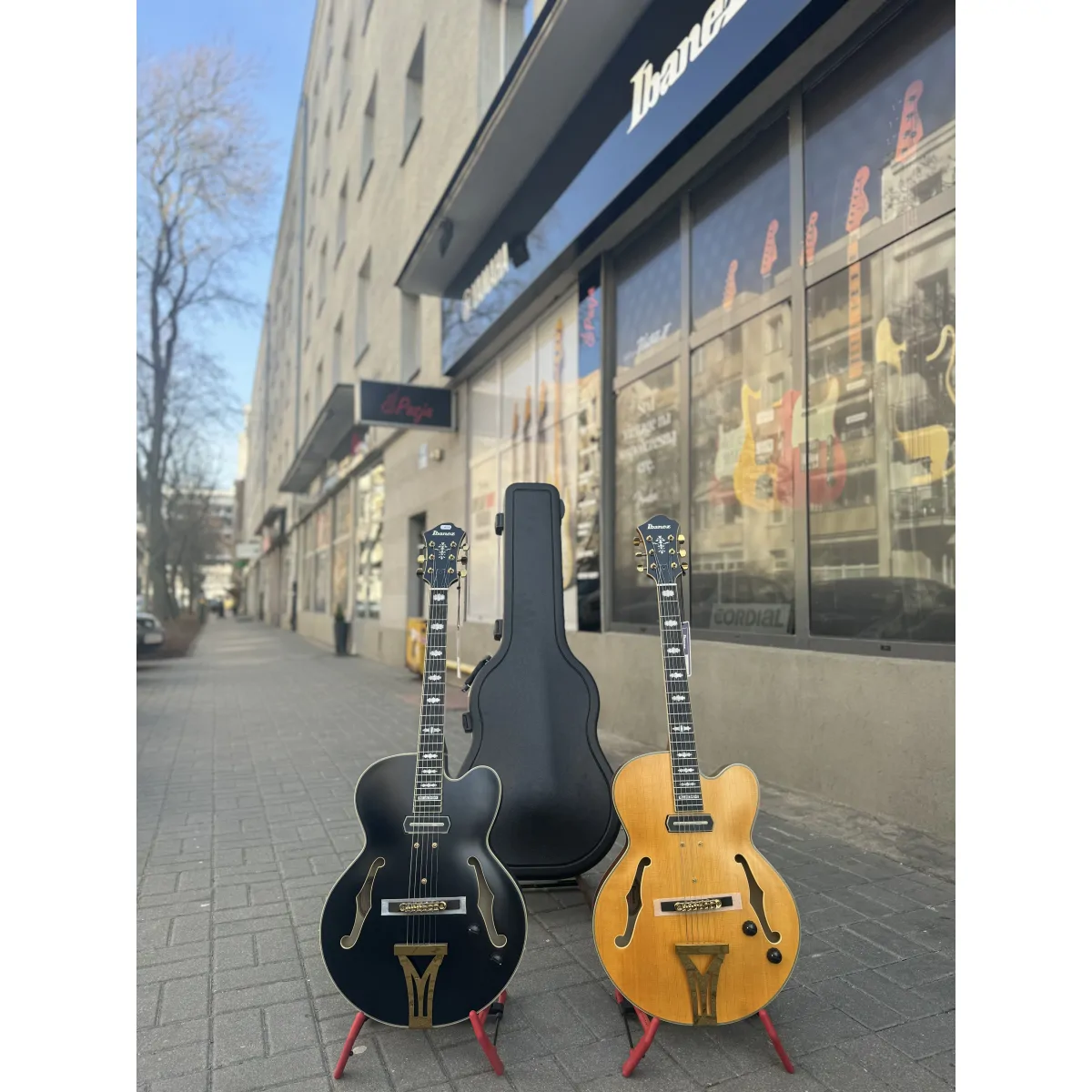 IBANEZ Ibanez PM3C-NAL Pat Metheny Signature Gitara Hollow-Body - zdjecie 2