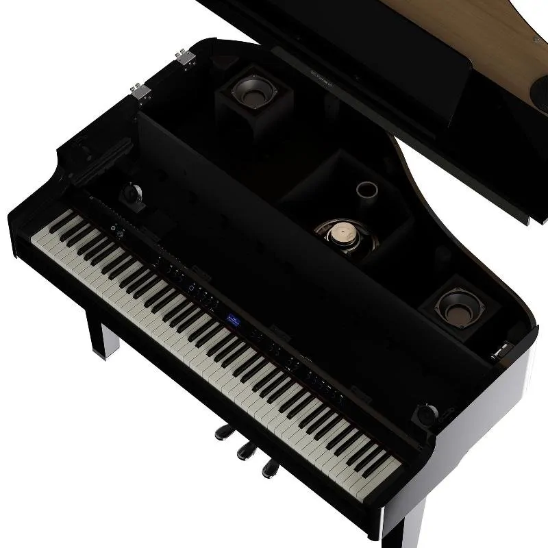ROLAND Roland GP-6 PE - zdjecie 6