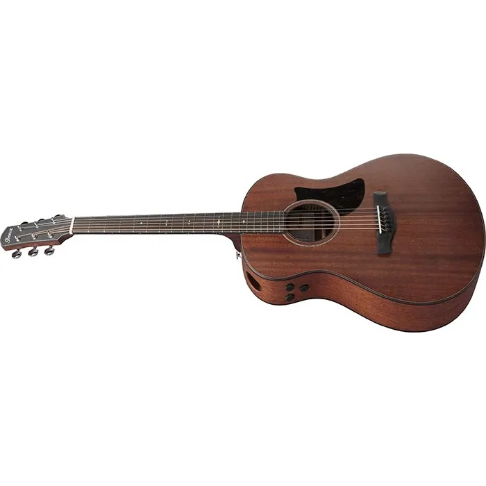 IBANEZ Ibanez AAM740E-LG Platinum Collection - zdjecie 3