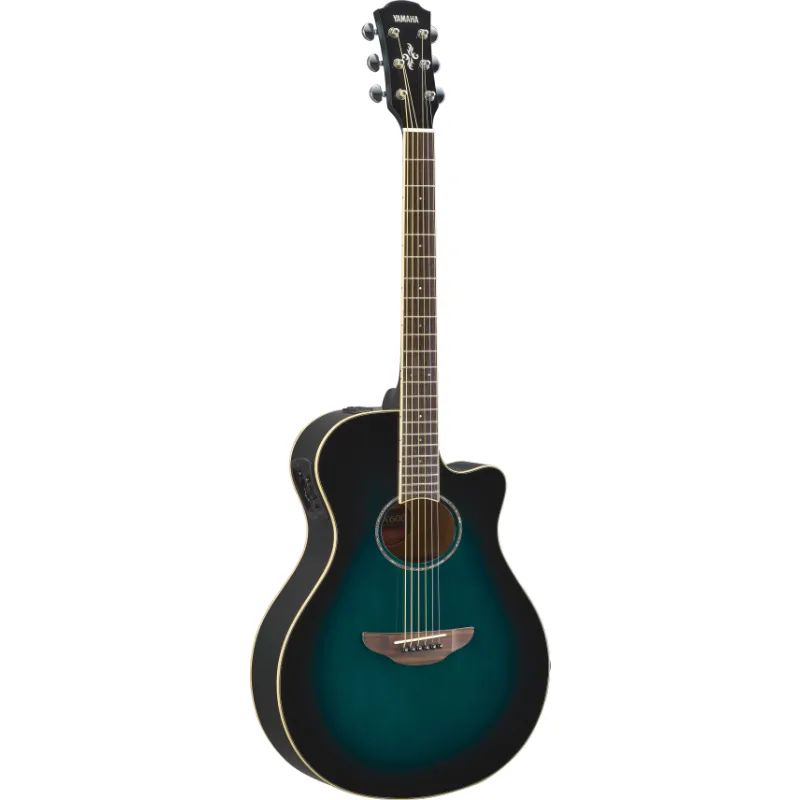 YAMAHA Yamaha APX600 OBB