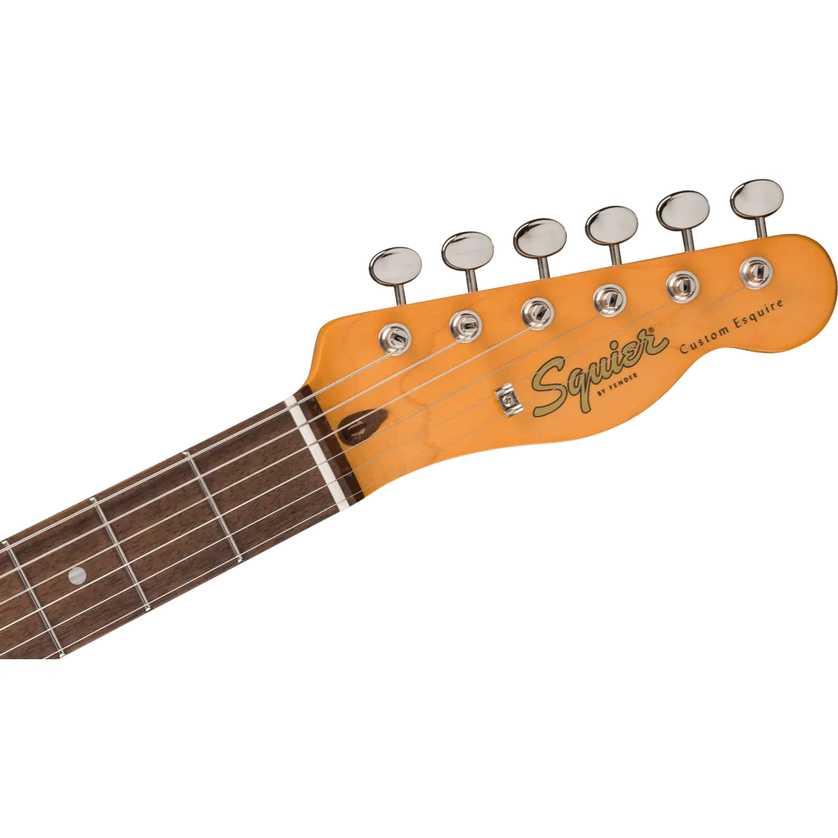 Squier Squier Classic Vibe Custom Esquire Laurel Fingerboard Parchment Pickguard Sherwood Green - zdjecie 4
