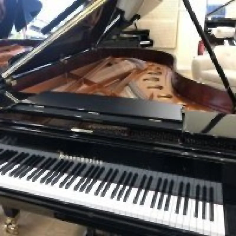 Bosendorfer Bösendorfer 230VC - zdjecie 10