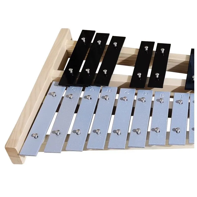 V-TONE V-TONE DC 27 SET dzwonki chromatyczne cymbałki dziecięce zestaw - zdjecie 4