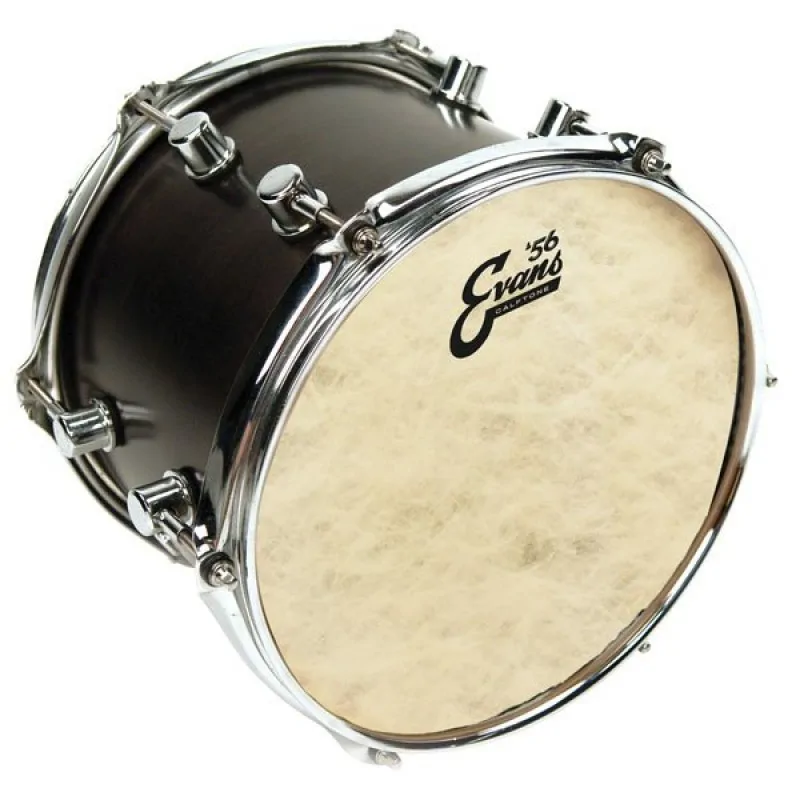 EVANS Evans TT14C7 Calftone 14" naciąg uderzany