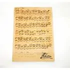 PWM PWM Teczka Chopin beżowa matowa