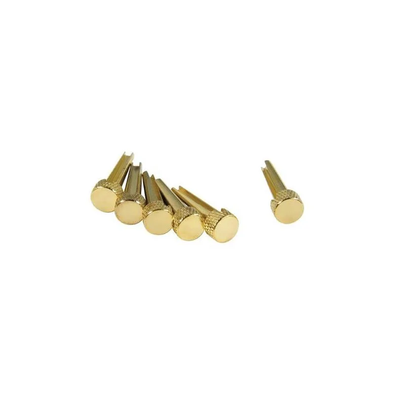 D'Andrea D'Andrea Tone Pins Solid Brass kołki gitary akustycznej zatyczki mosiężne kołeczki złote komplet 6 szt