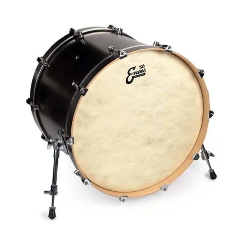 EVANS Evans BD20CT Calftone 20" naciąg uderzany do centrali