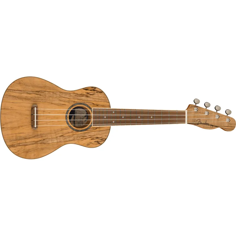FENDER Fender Zuma Exotic Concert Ukulele Walnut Fingerboard Spalted Maple