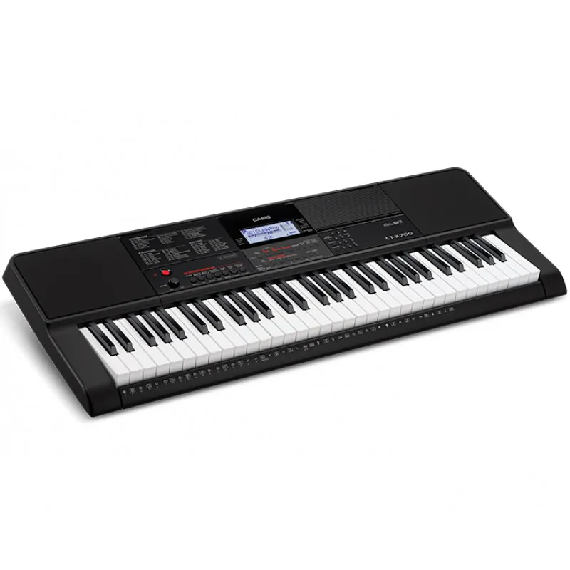 CASIO Casio CT-X700 keyboard