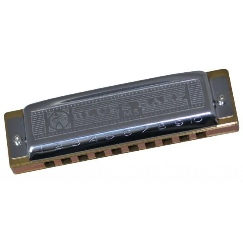 HOHNER HOHNER BLUES HARP D - zdjecie 2