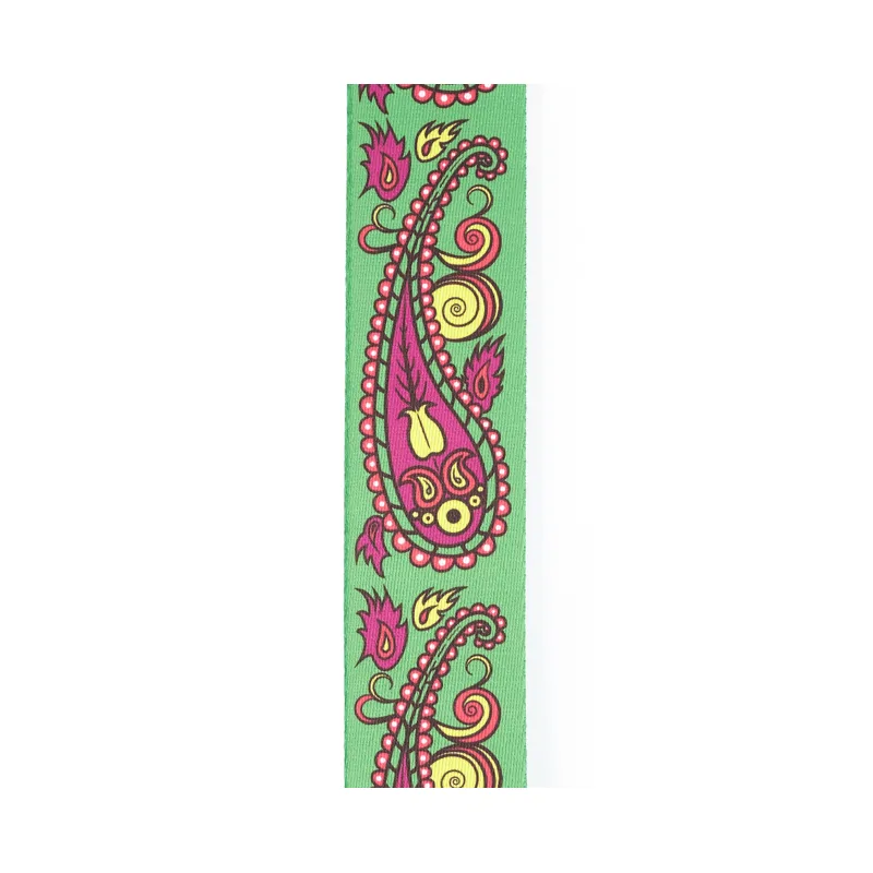 D'ADDARIO D'Addario 50JS13 Joe Satriani Paisley Green - zdjecie 2