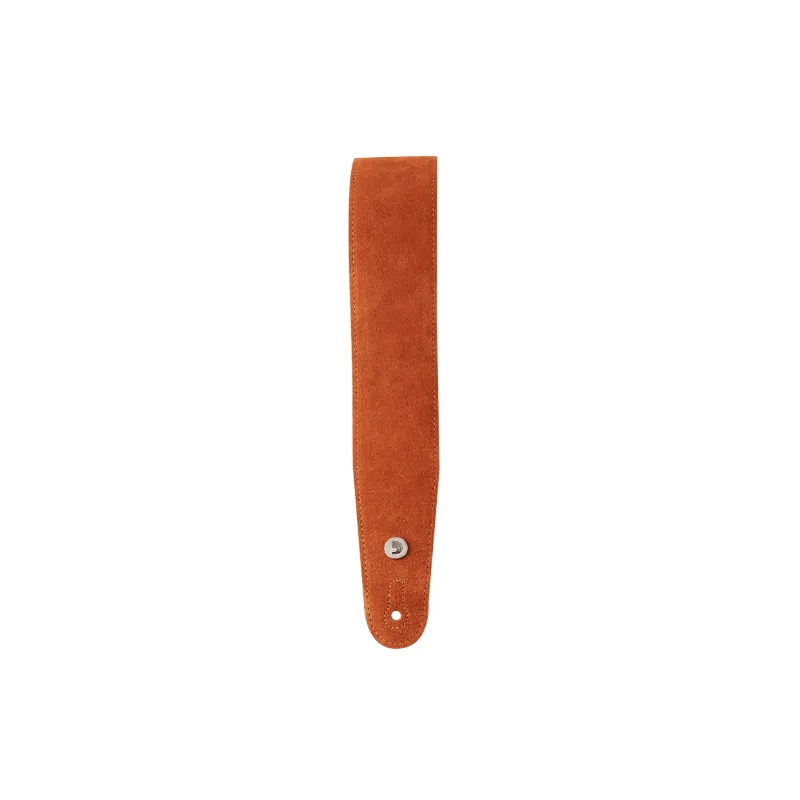 D'ADDARIO D'Addario 25SS02-DX Suede Honey - zdjecie 3